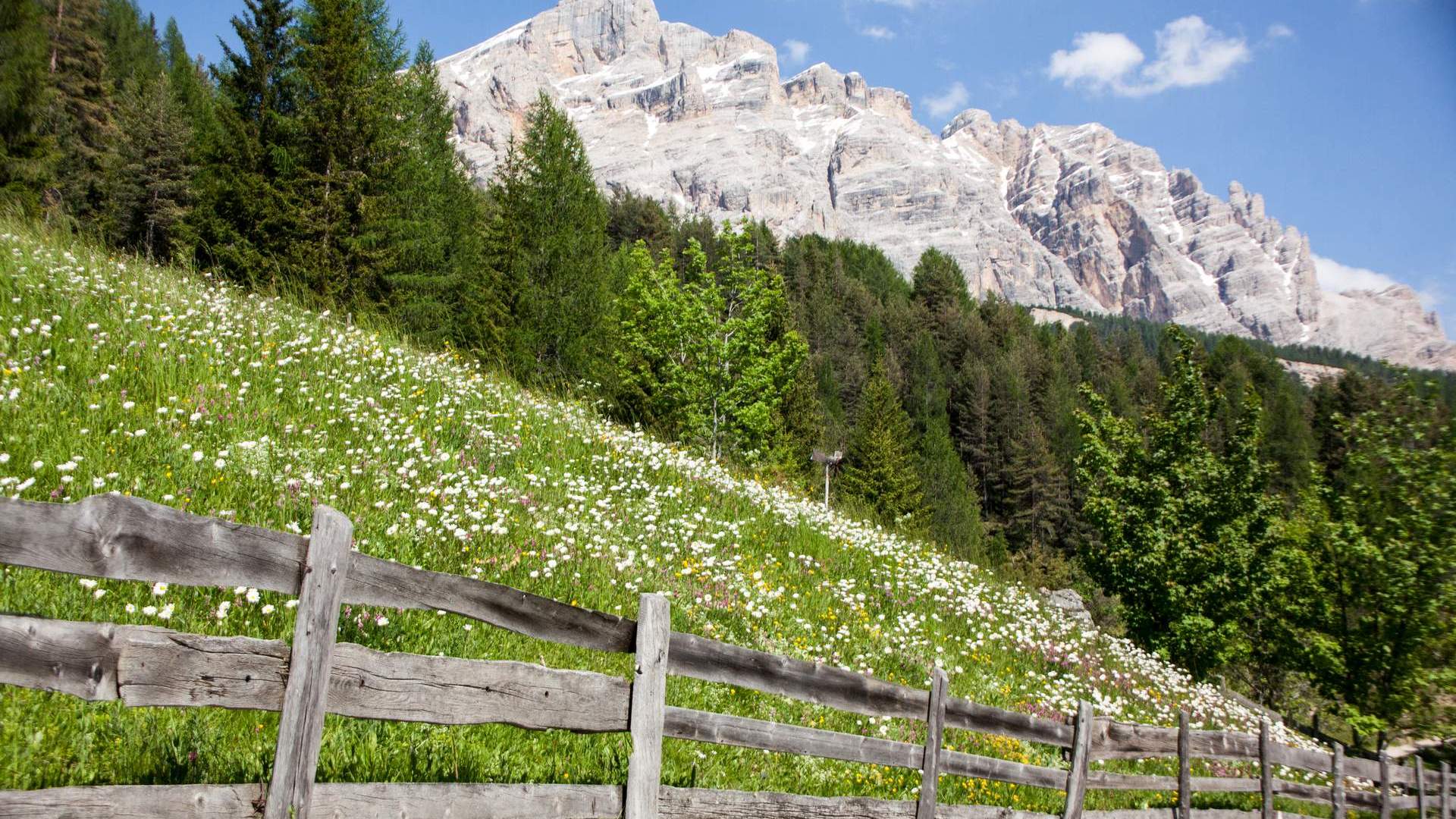 suedtirol-1.jpg